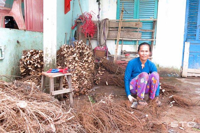 Loài[-]cây[-]kỳ[-]lạ:[-]Thả[-]xuống[-]ao[-]vạn[-]con[-]cá[-]say[-]bí[-]tỷ